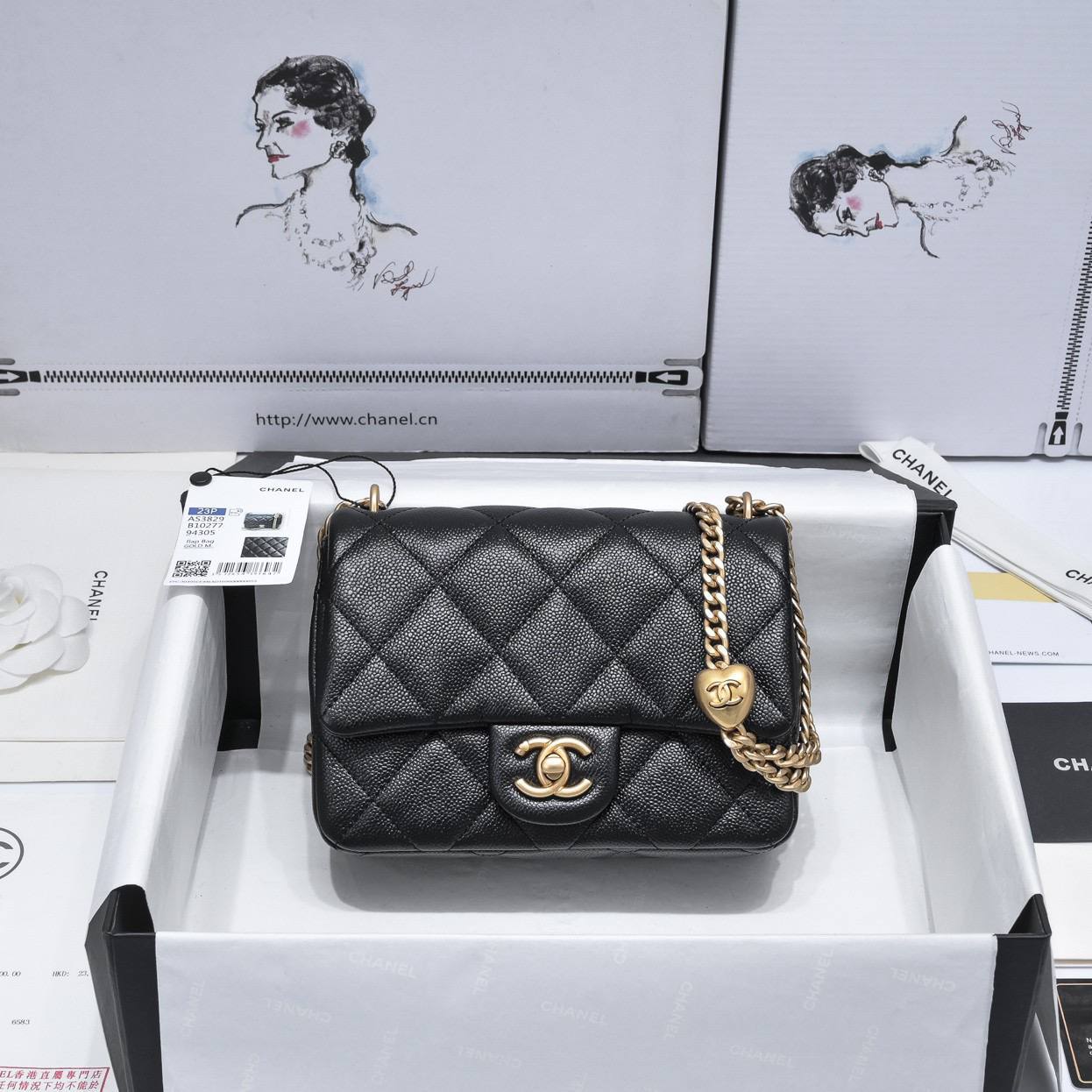 Chanel Flap Bag Noir